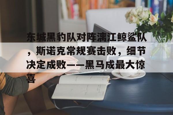 东城黑豹队对阵漓江鲸鲨队，斯诺克常规赛击败，细节决定成败——黑马成最大惊喜的简单介绍