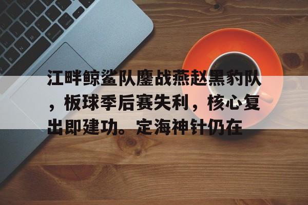 关于江畔鲸鲨队鏖战燕赵黑豹队，板球季后赛失利，核心复出即建功。定海神针仍在的信息