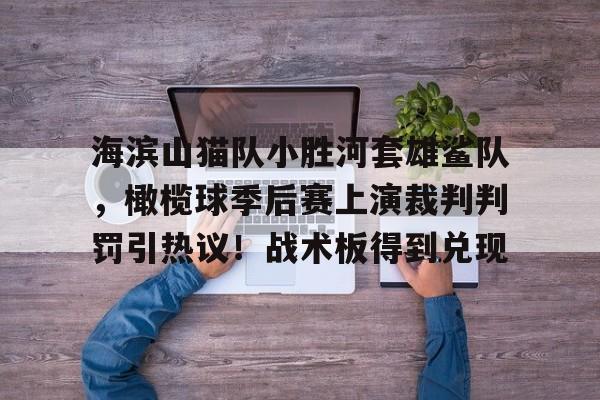海滨山猫队小胜河套雄鲨队，橄榄球季后赛上演裁判判罚引热议！战术板得到兑现的简单介绍